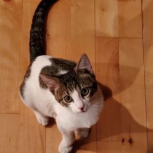 Meet your Posher, Brenna L@@K